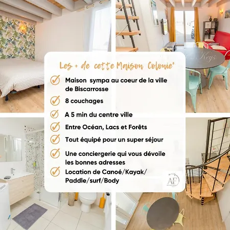 Petite Maison Mitoyenne A - Bourg