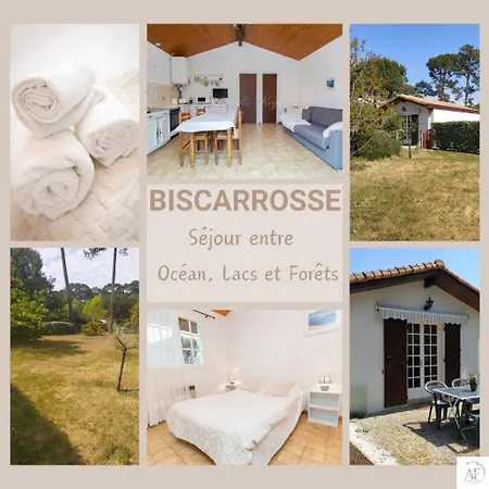 Petite Maison Mitoyenne A - Bourg Διαμέρισμα *